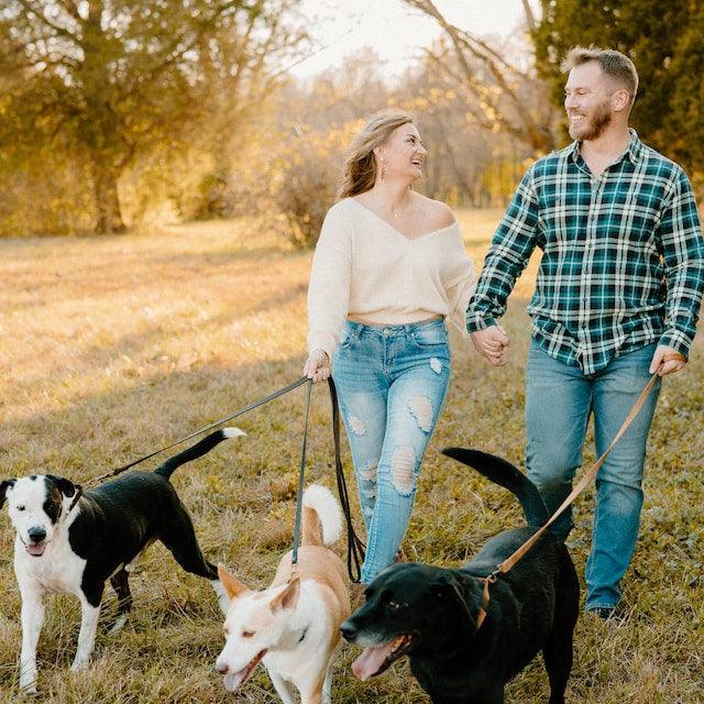 INCLUDING YOUR PUP ON YOUR WEDDING DAY - Pawsomepetsnewyork