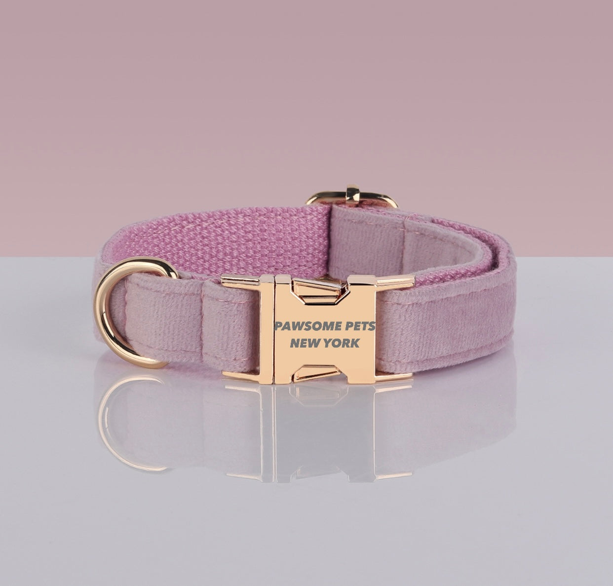 PAWSOME DOG COLLAR - #10