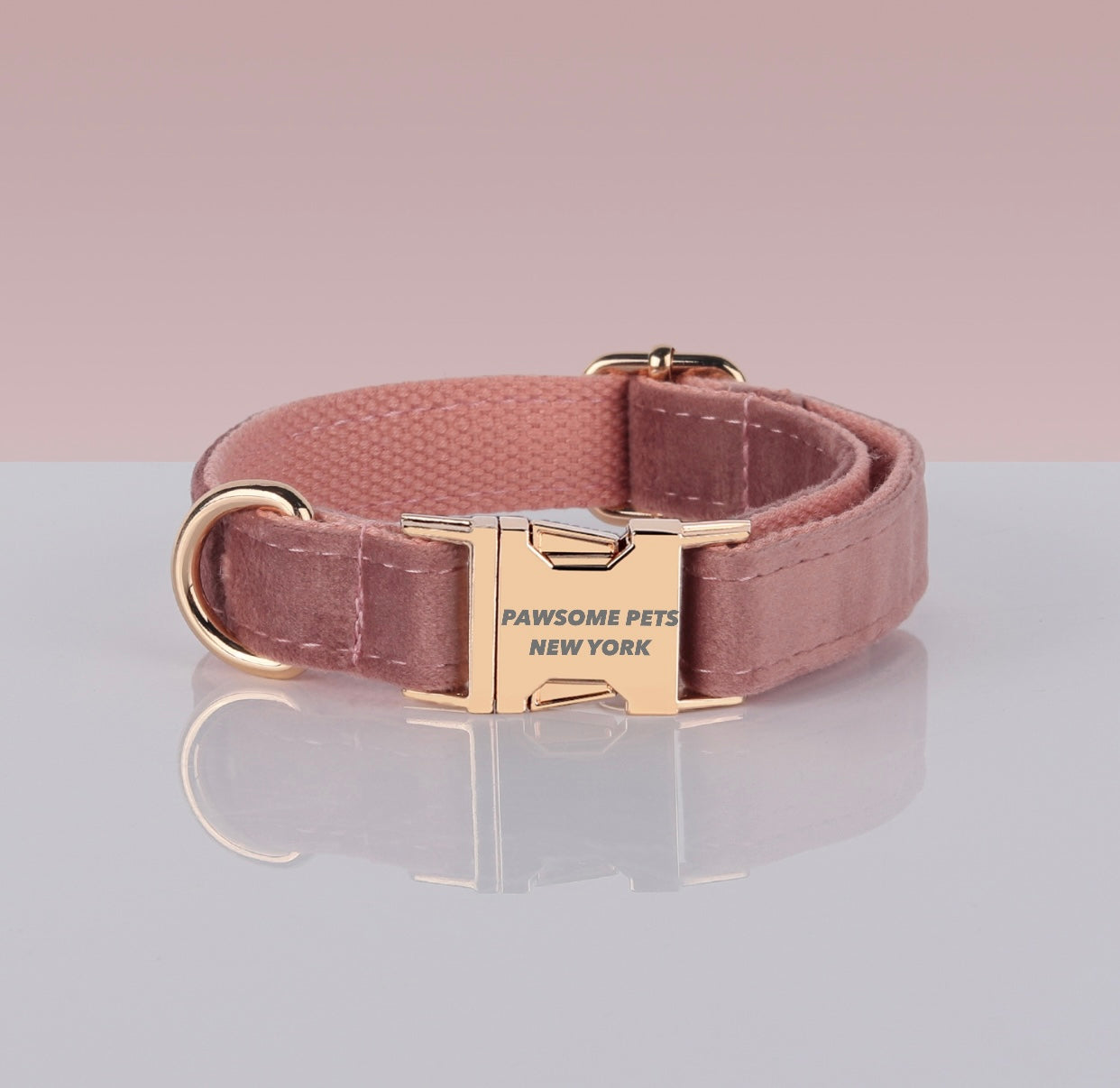 PAWSOME DOG COLLAR - #14