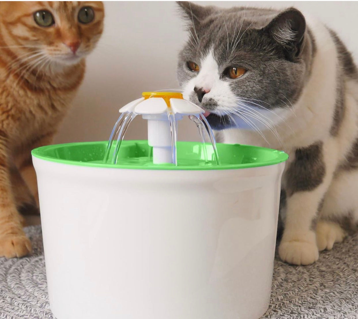 Pets Water Fountain