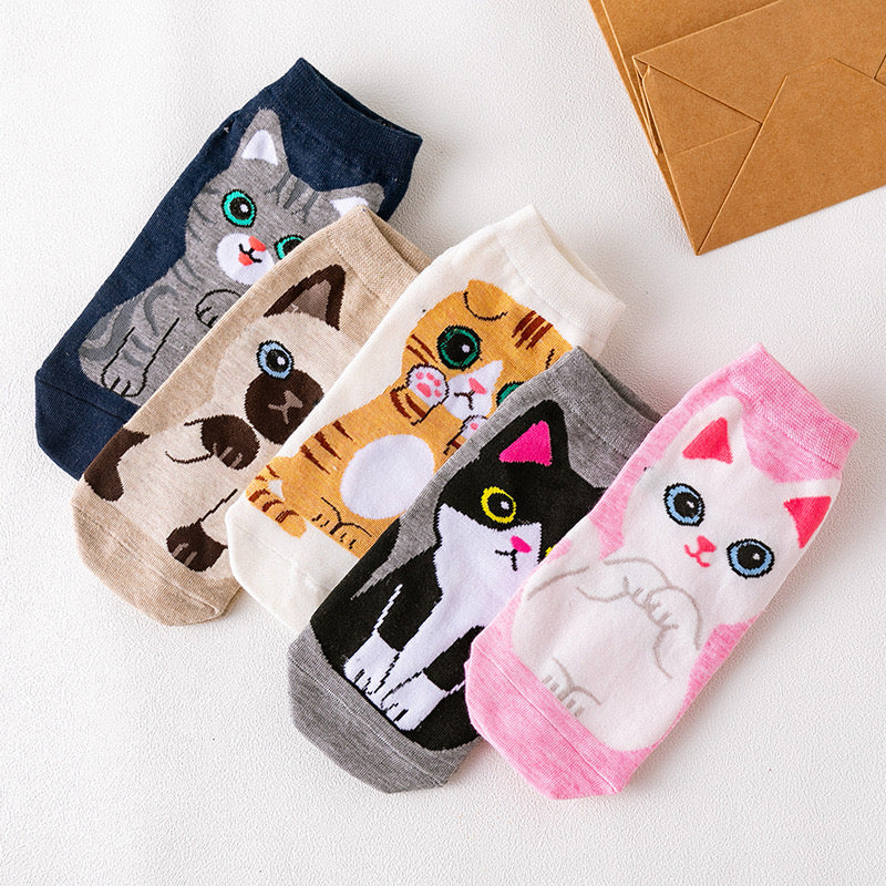Pawsome Socks #11