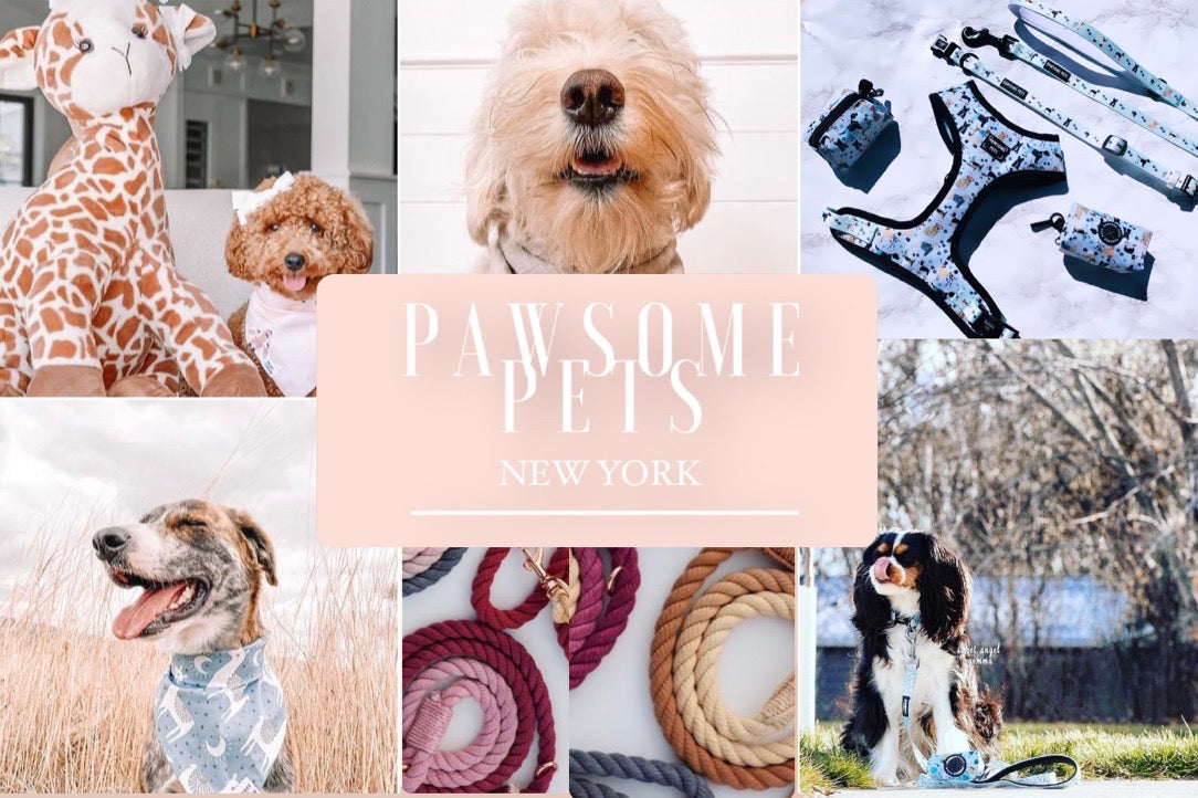 LEASHES - ROPE,LEASHES - HANDS FREE,LEASHES - HANDS FREE