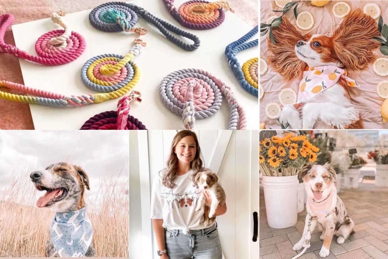 Pawsome Pet products