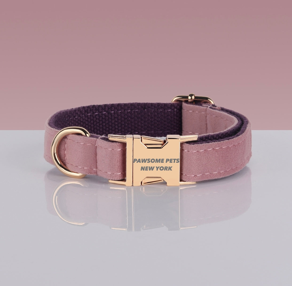 PAWSOME DOG COLLAR - #13