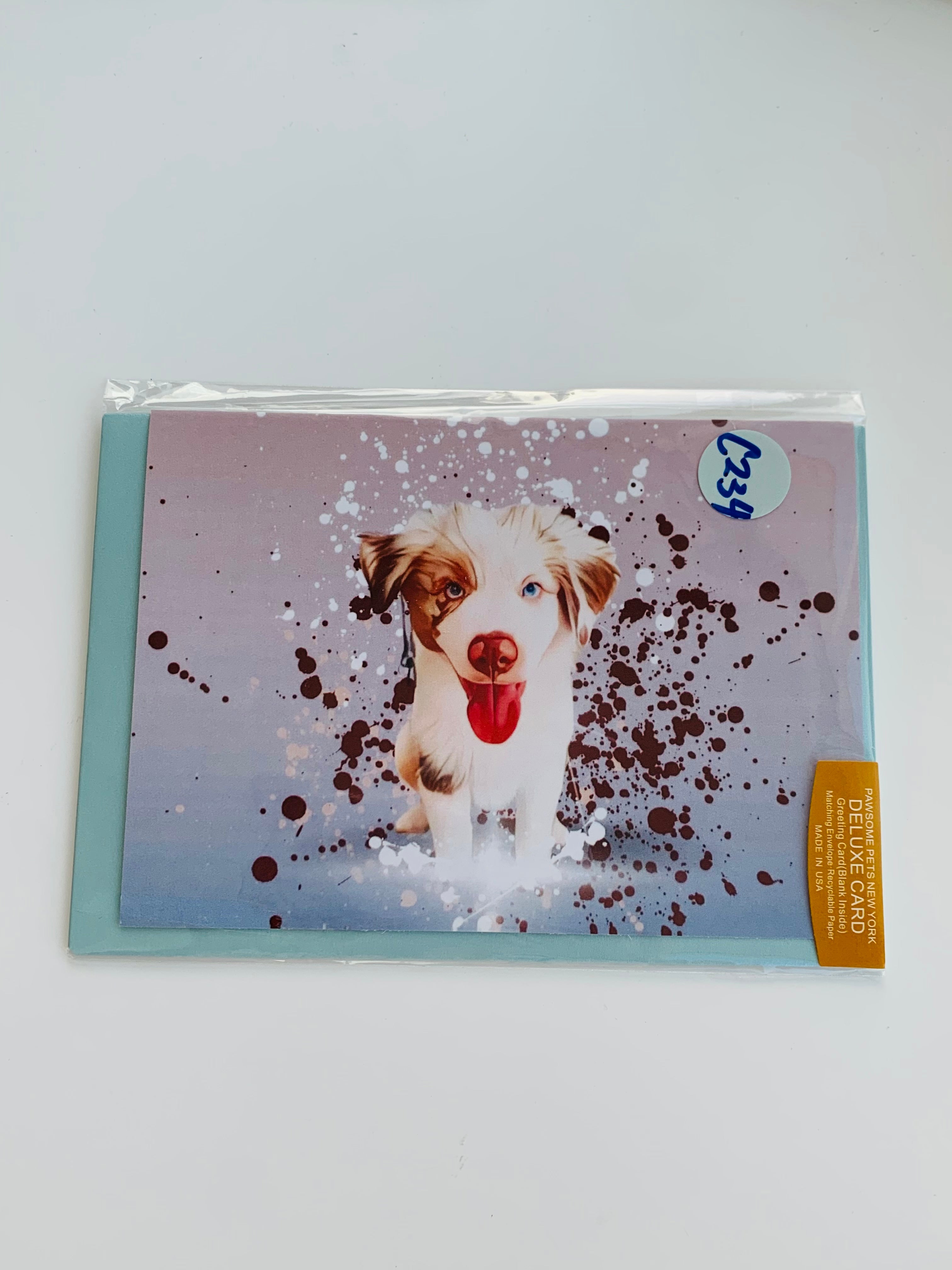 PETS CARD - #58