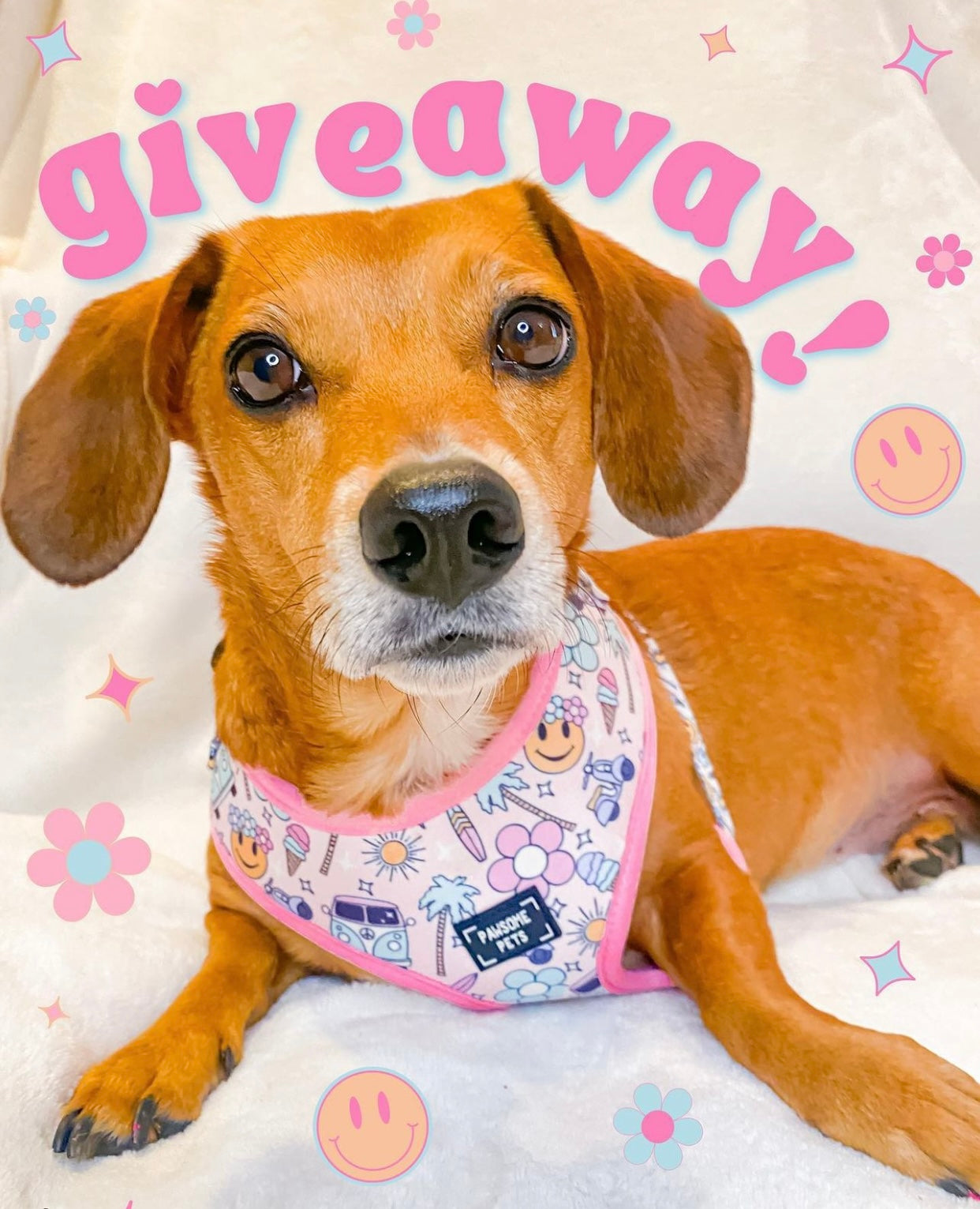 ADJUSTABLE HARNESS - SMILE EVERYDAY