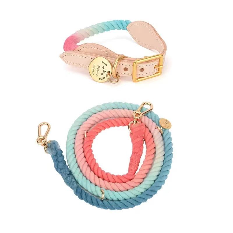 Hands Free Rope Leash and Luxe Royal Leather Collar Bundle - Daydream