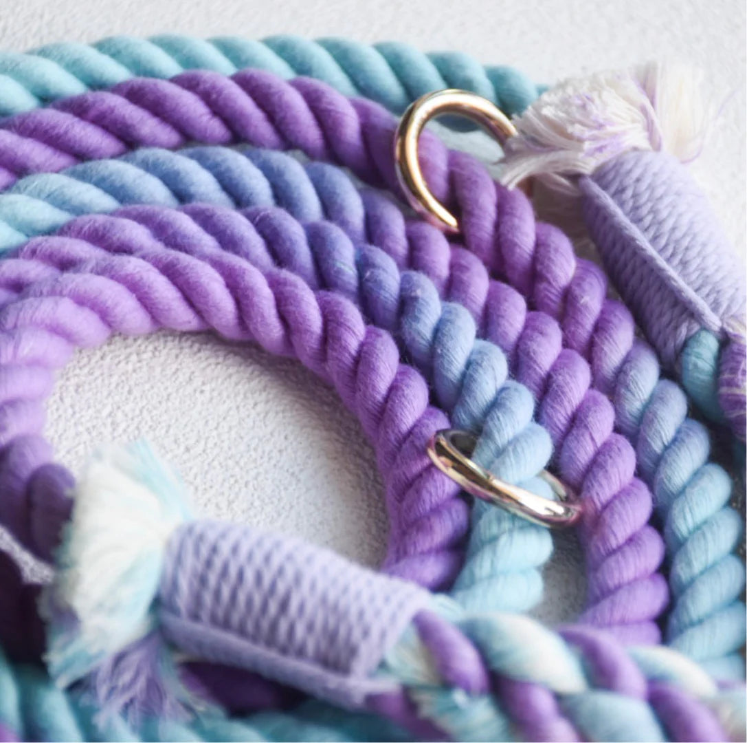 HANDS FREE ROPE LEASH - AURORA