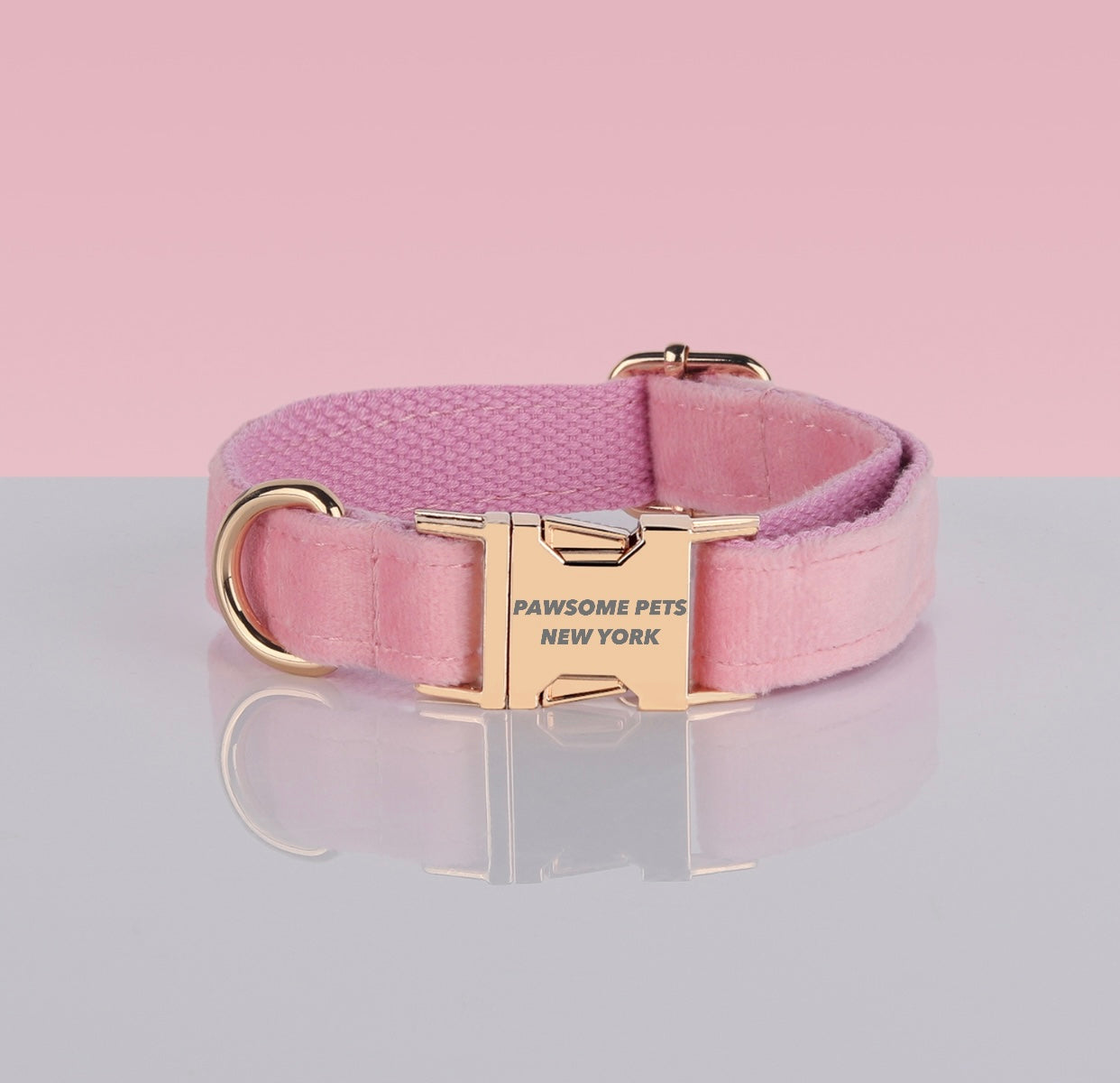 PAWSOME DOG COLLAR - #3