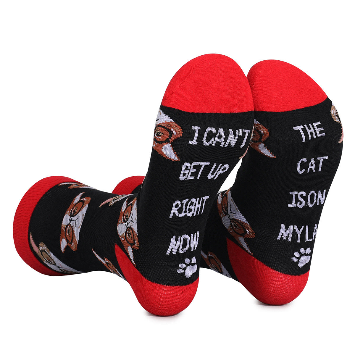 Pawsome Socks #5