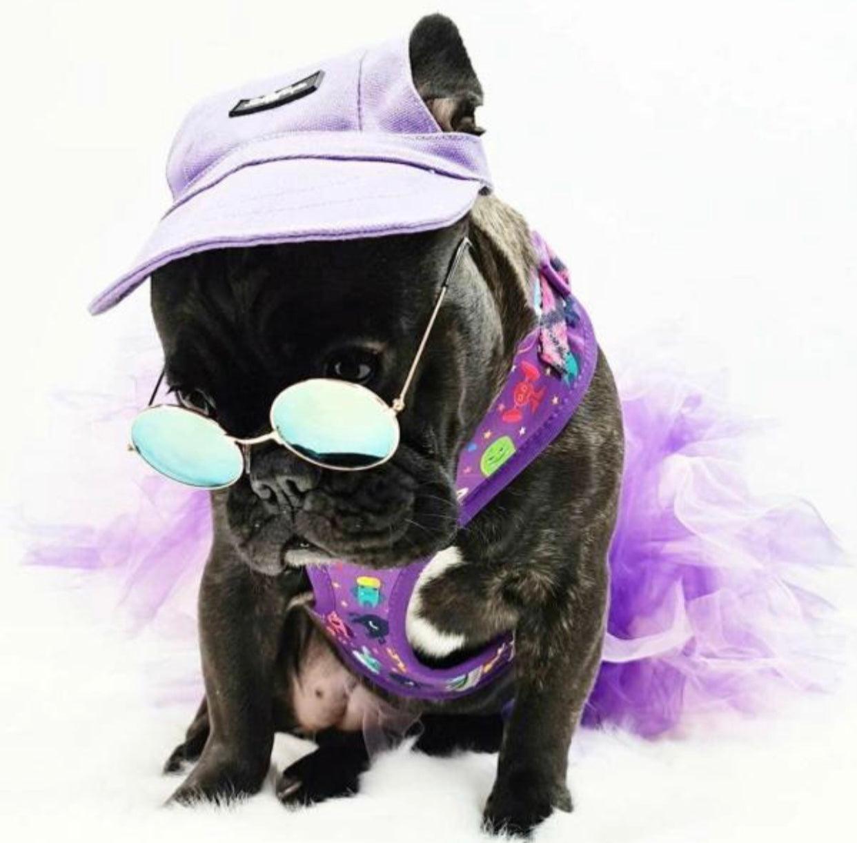 Pets Cap Purple - Pawsomepetsnewyork