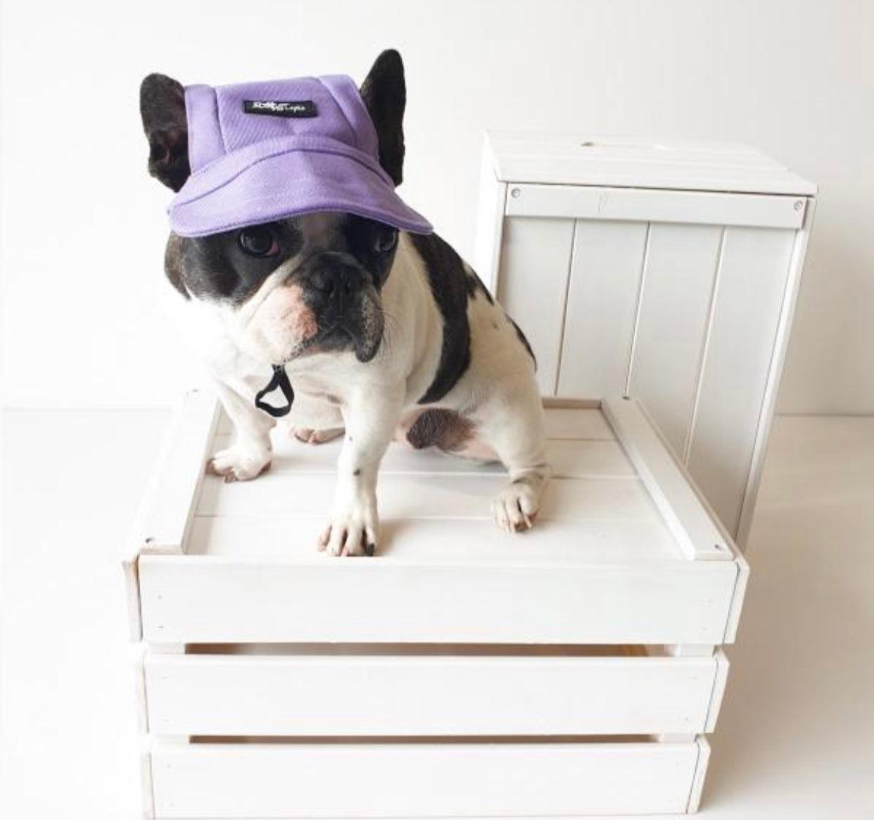 Pets Cap Purple - Pawsomepetsnewyork