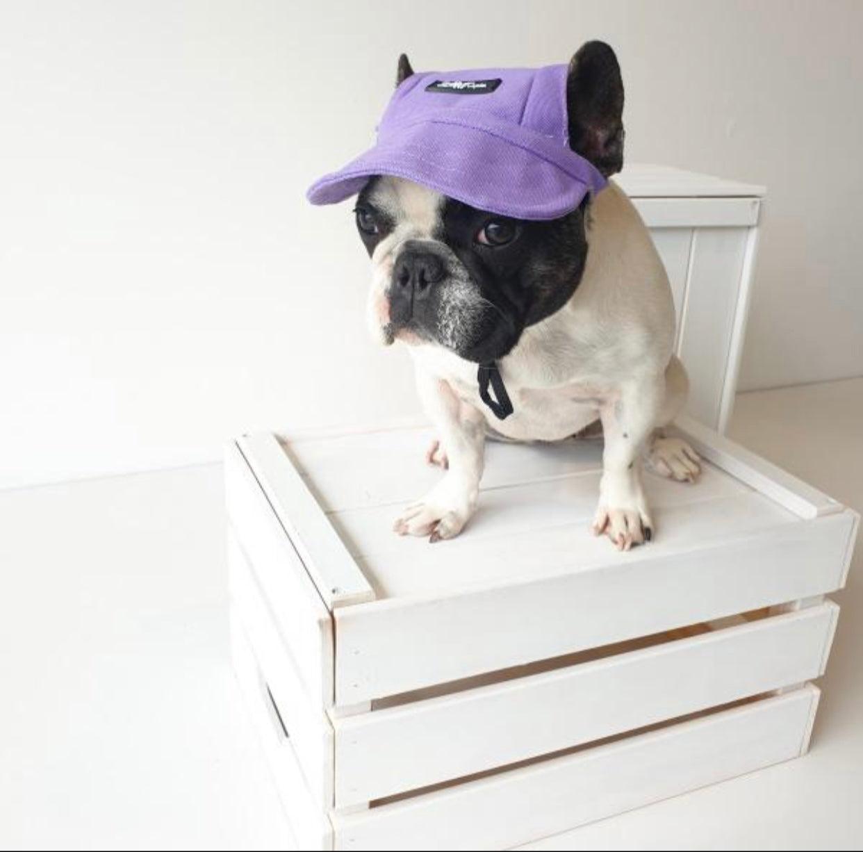 Pets Cap Purple - Pawsomepetsnewyork