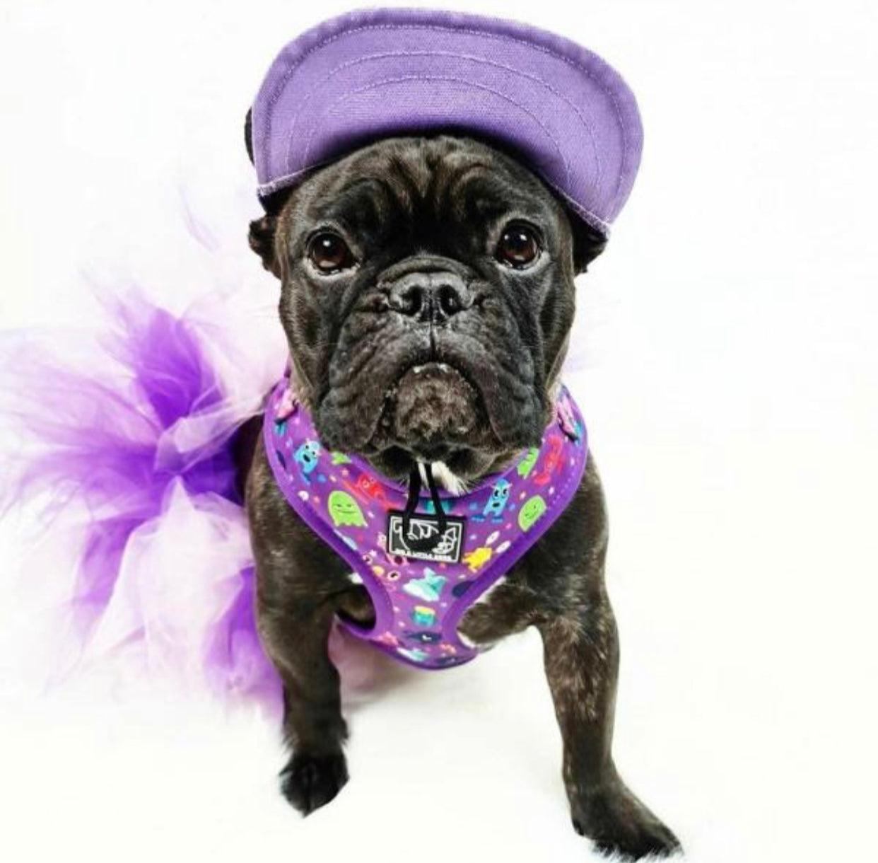 Pets Cap Purple - Pawsomepetsnewyork