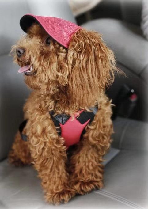 Pets Hat Pink - Pawsomepetsnewyork