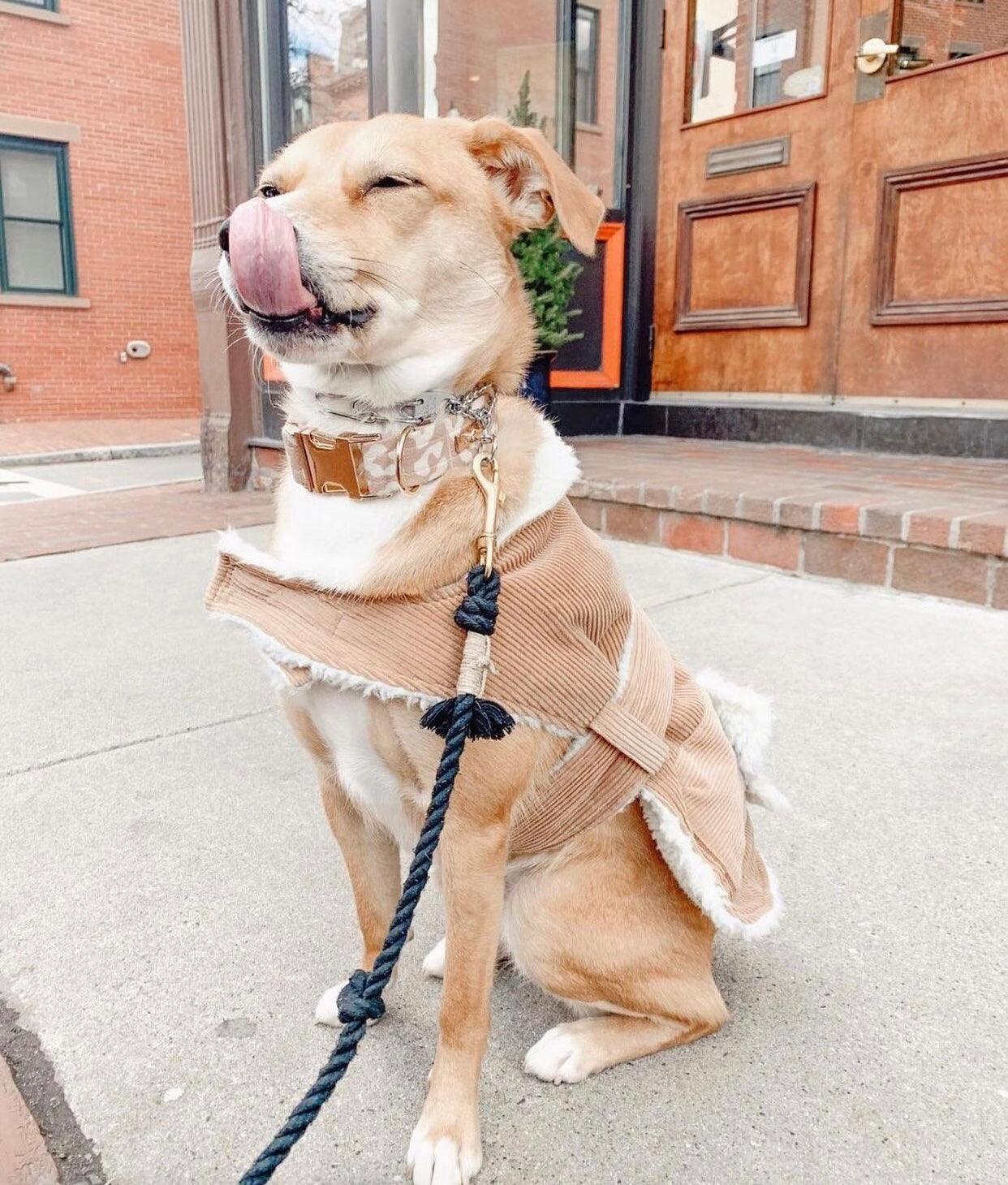 ROPE LEASH - OMBRE OLIVE - Pawsomepetsnewyork