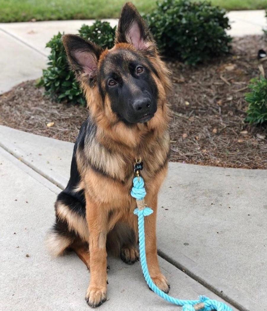 ROPE LEASH - SPRINKLES - Pawsomepetsnewyork