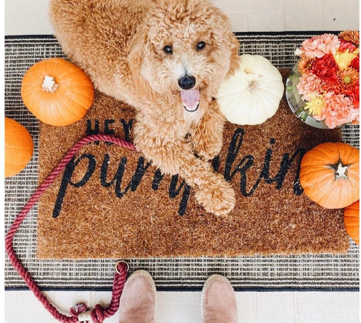 ROPE LEASH - SUNNY DAZE - Pawsomepetsnewyork