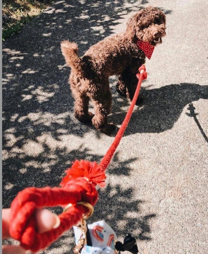 ROPE LEASH - SUNNY DAZE - Pawsomepetsnewyork