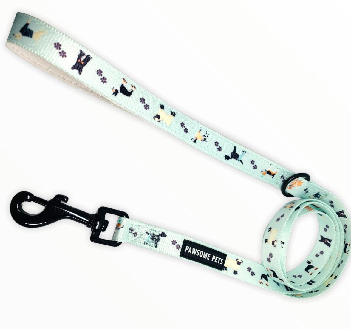 LEASH - DAPPER DOGGY - Pawsomepetsnewyork