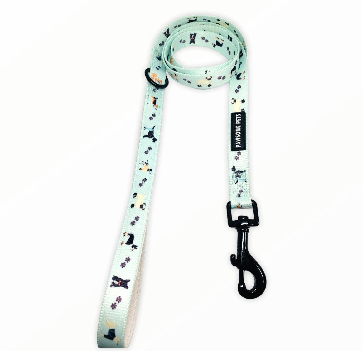 LEASH - DAPPER DOGGY - Pawsomepetsnewyork