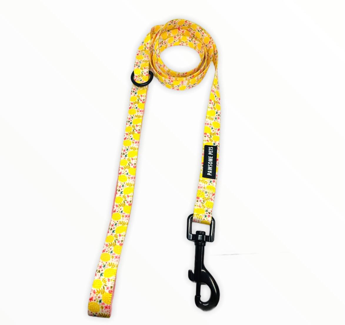 LEASH - OH MY LEMON - Pawsomepetsnewyork