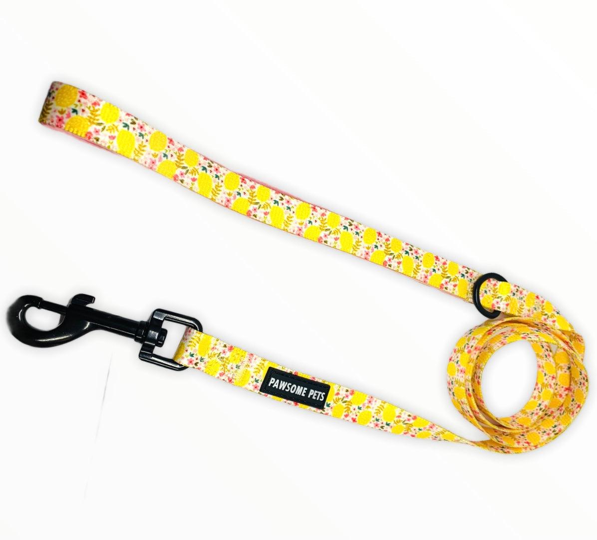 LEASH - OH MY LEMON - Pawsomepetsnewyork