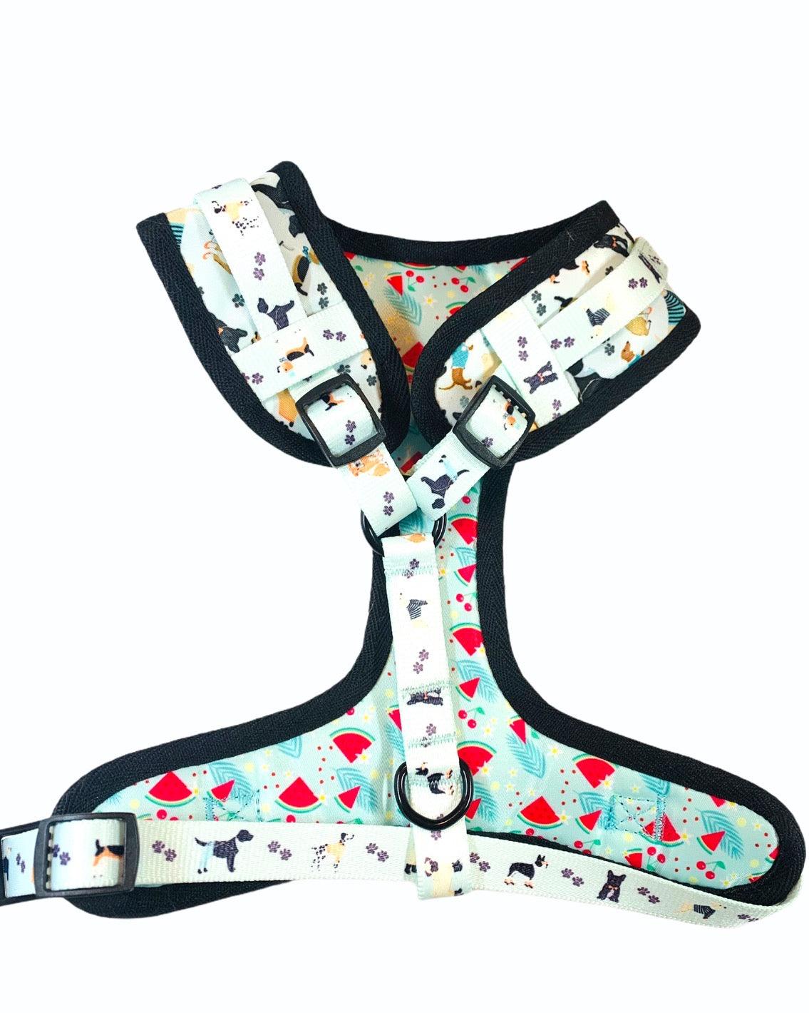 ADJUSTABLE HARNESS - DAPPER DOGGY - Pawsomepetsnewyork