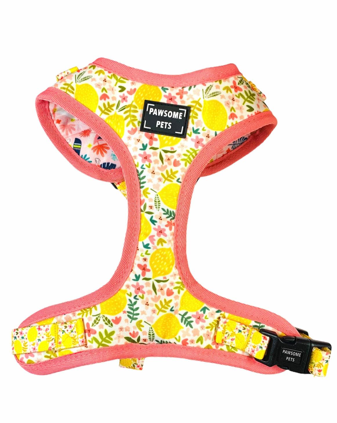 BUNDLE - OH MY LEMON (4 PIECES) - Pawsomepetsnewyork