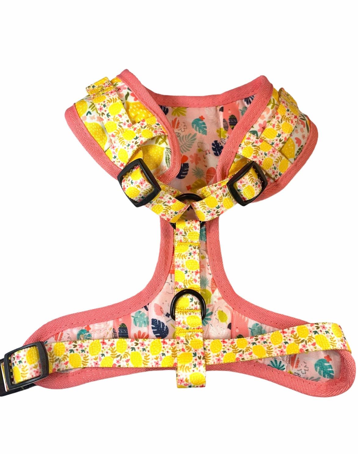 ADJUSTABLE HARNESS - OH MY LEMON - Pawsomepetsnewyork