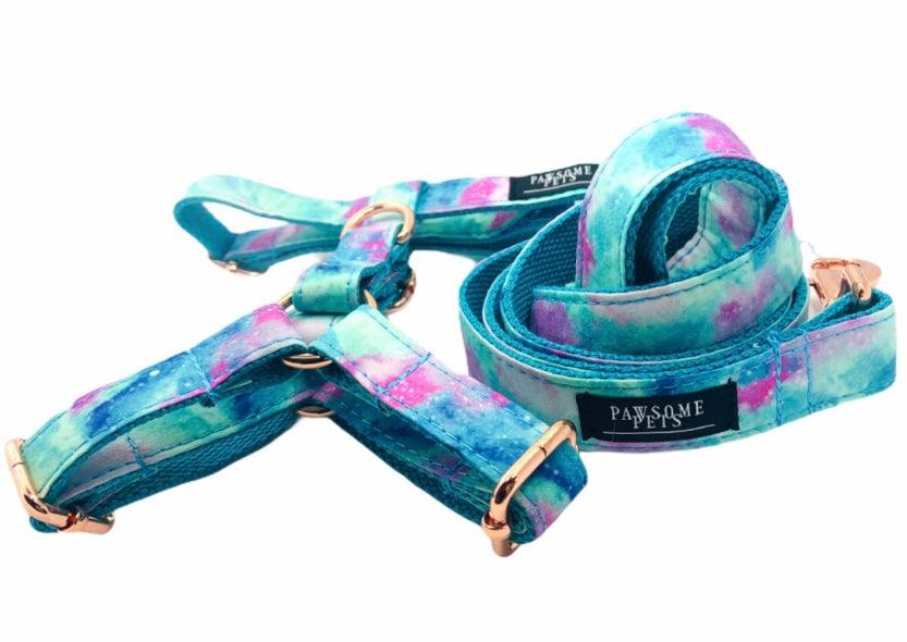 STEP IN BUNDLE - SKY (2 PIECES) - Pawsomepetsnewyork