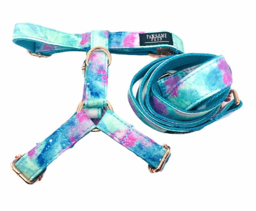 STEP IN BUNDLE - SKY (2 PIECES) - Pawsomepetsnewyork