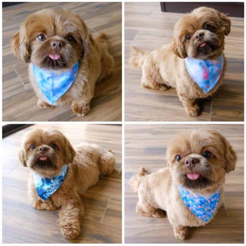 BANDANA - OCEAN BLUE - Pawsomepetsnewyork