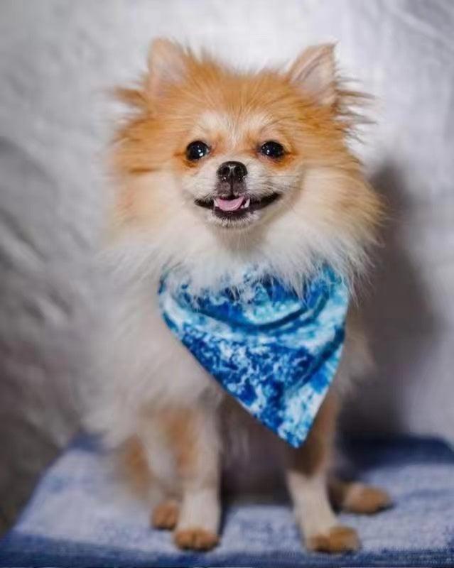 BANDANA - OCEAN BLUE - Pawsomepetsnewyork