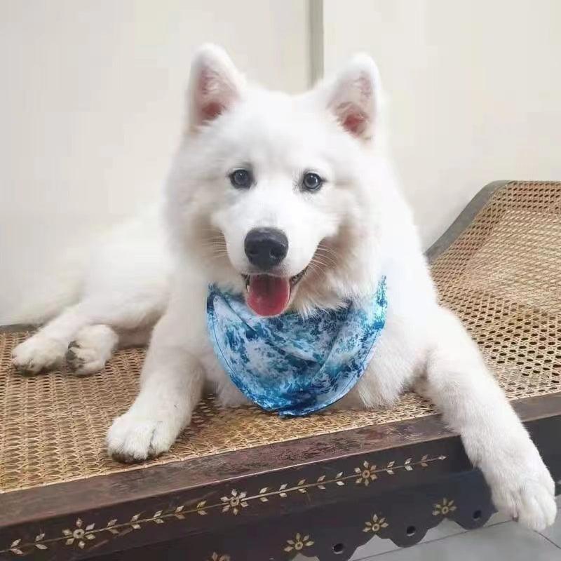 BANDANA - OCEAN BLUE - Pawsomepetsnewyork