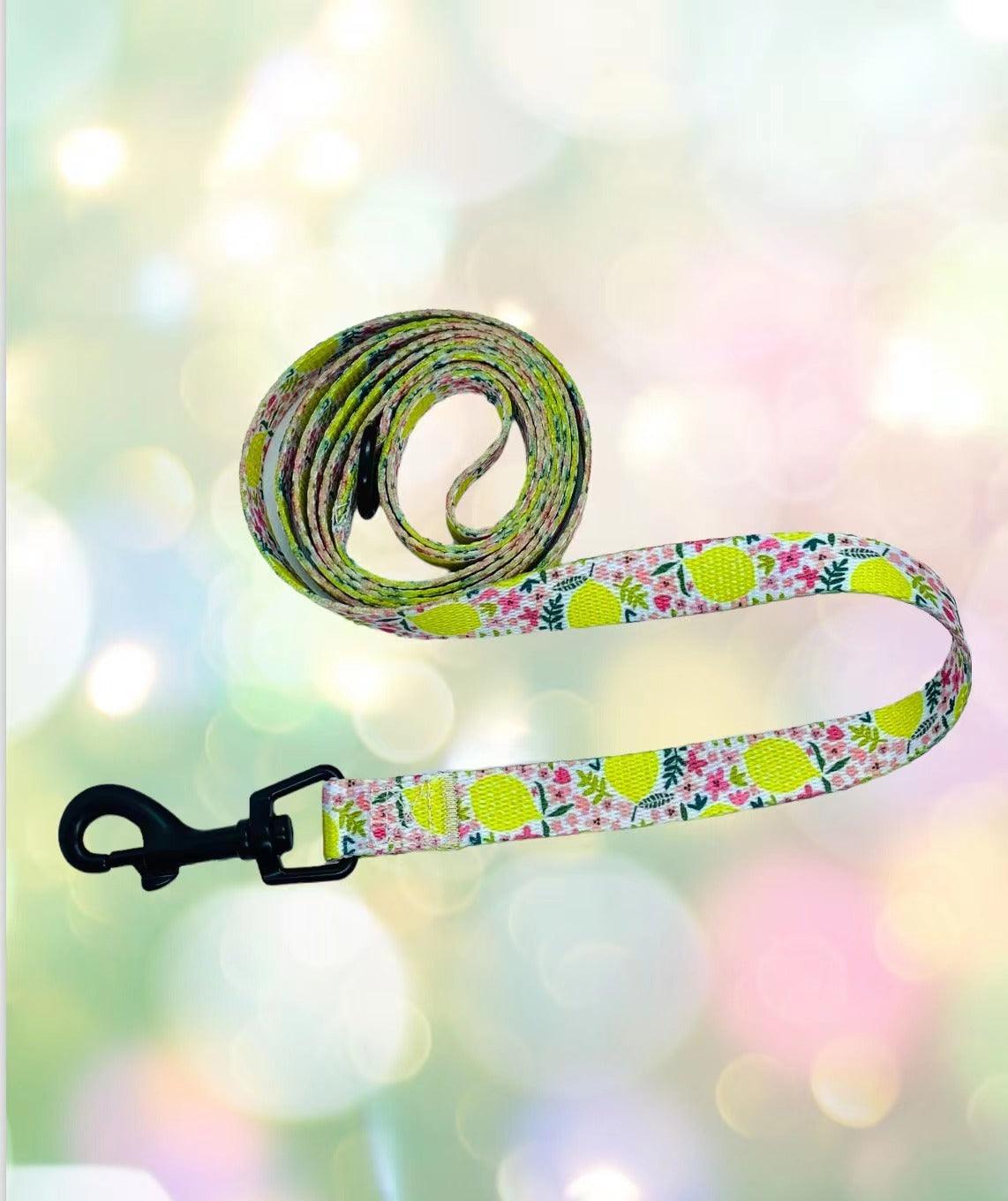 BUNDLE - OH MY LEMON (2 PIECES) - Pawsomepetsnewyork