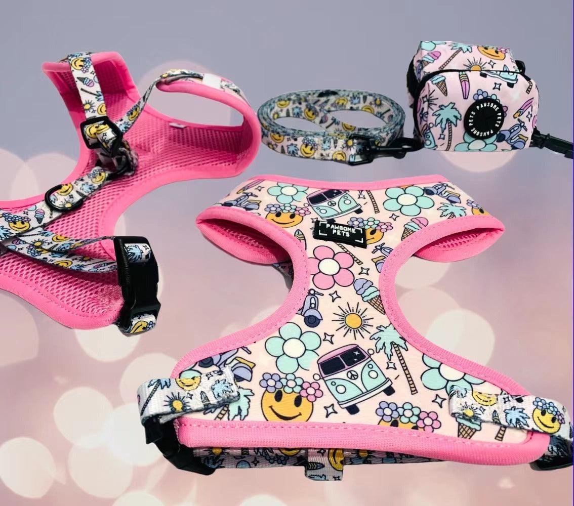 BUNDLE - SMILE EVERYDAY (3 PIECES) - Pawsomepetsnewyork