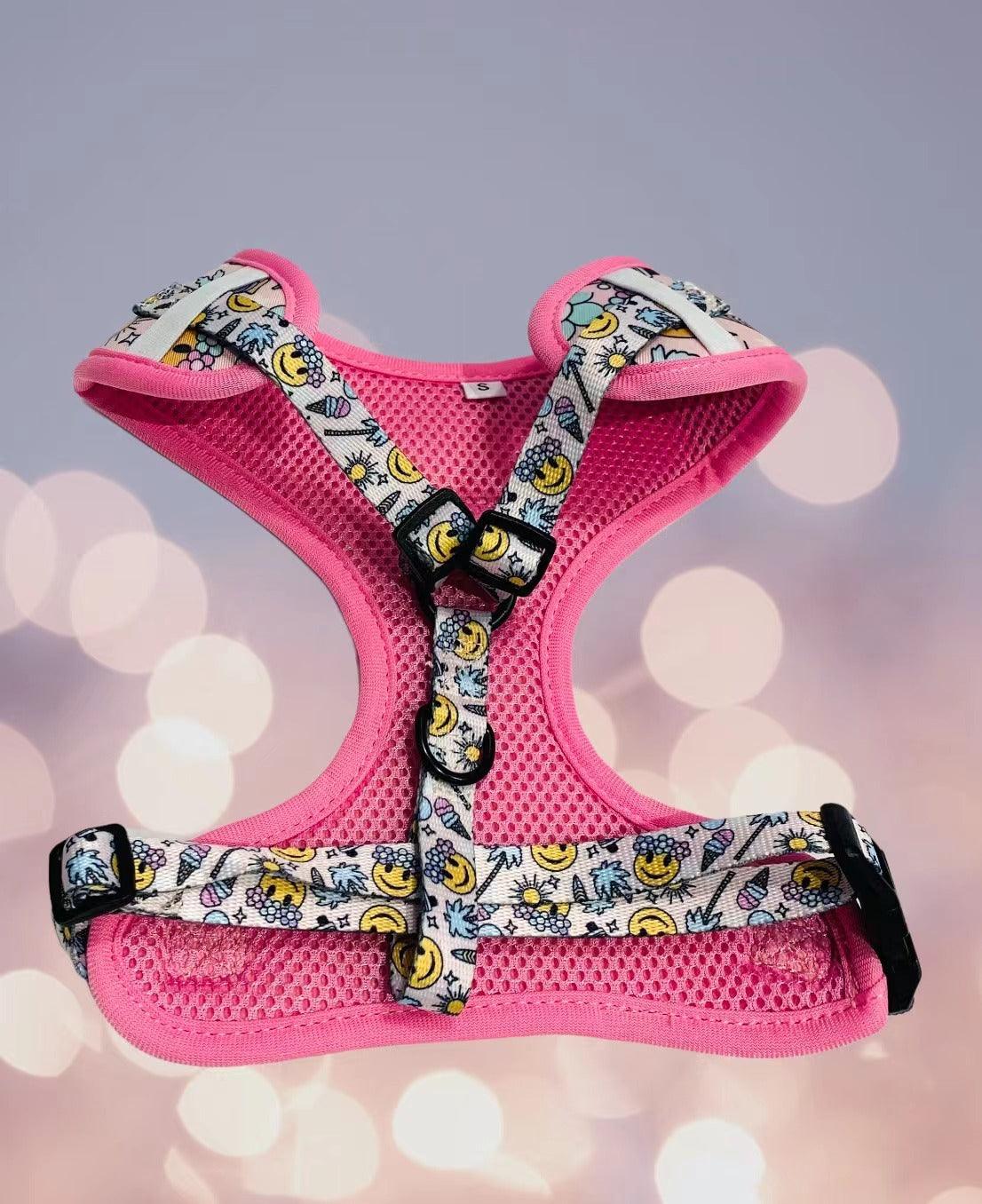 BUNDLE - SMILE EVERYDAY (3 PIECES) - Pawsomepetsnewyork