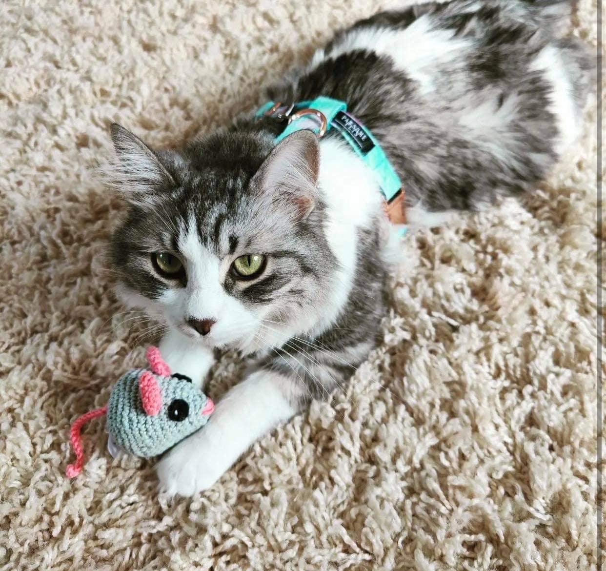 STEP IN HARNESS - SKY - Pawsomepetsnewyork