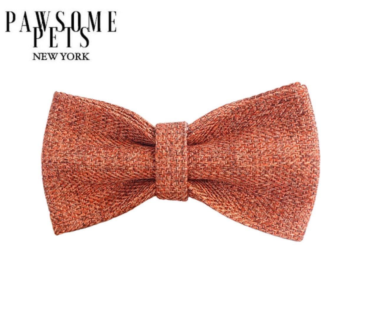 BOWTIE - ORANGE - Pawsomepetsnewyork