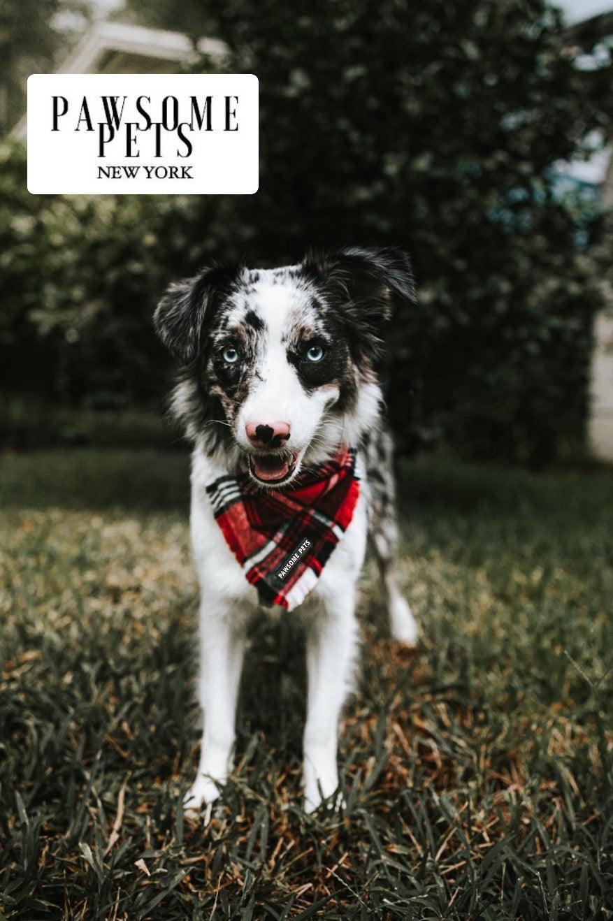 BANDANA - HUDSON - Pawsomepetsnewyork