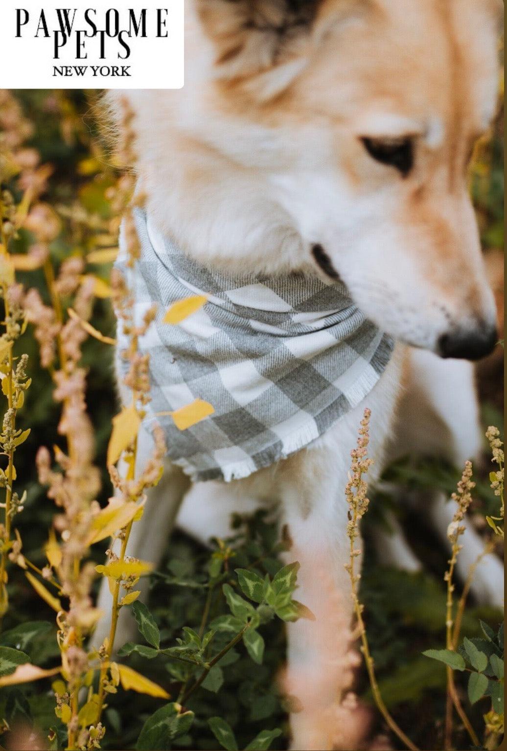 BANDANA - SAWYER - Pawsomepetsnewyork