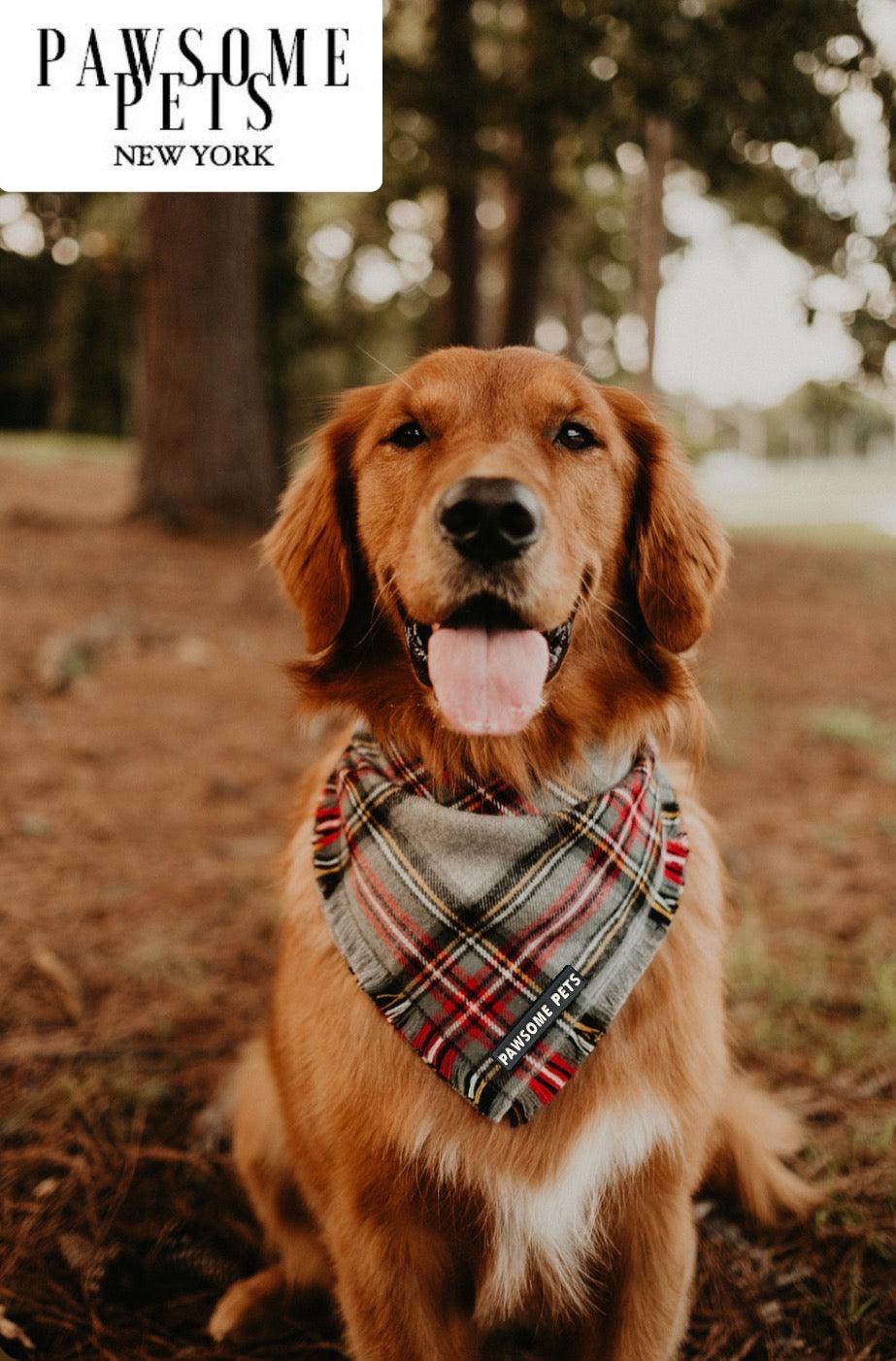 BANDANA - NOELLE - Pawsomepetsnewyork