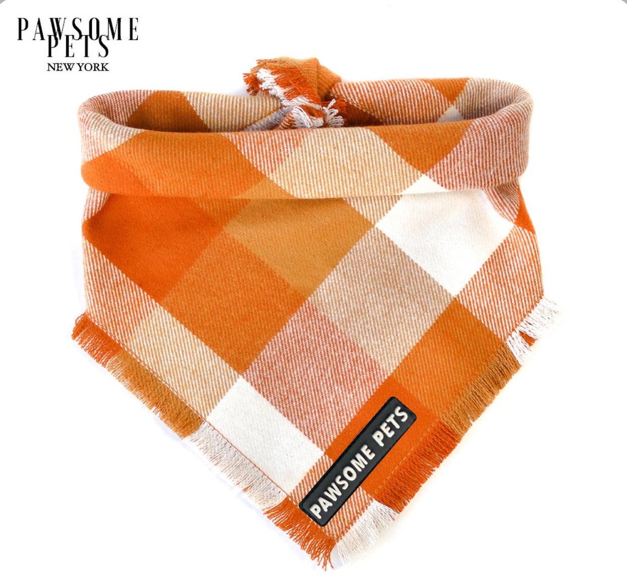 BANDANA - PUMPKIN - Pawsomepetsnewyork