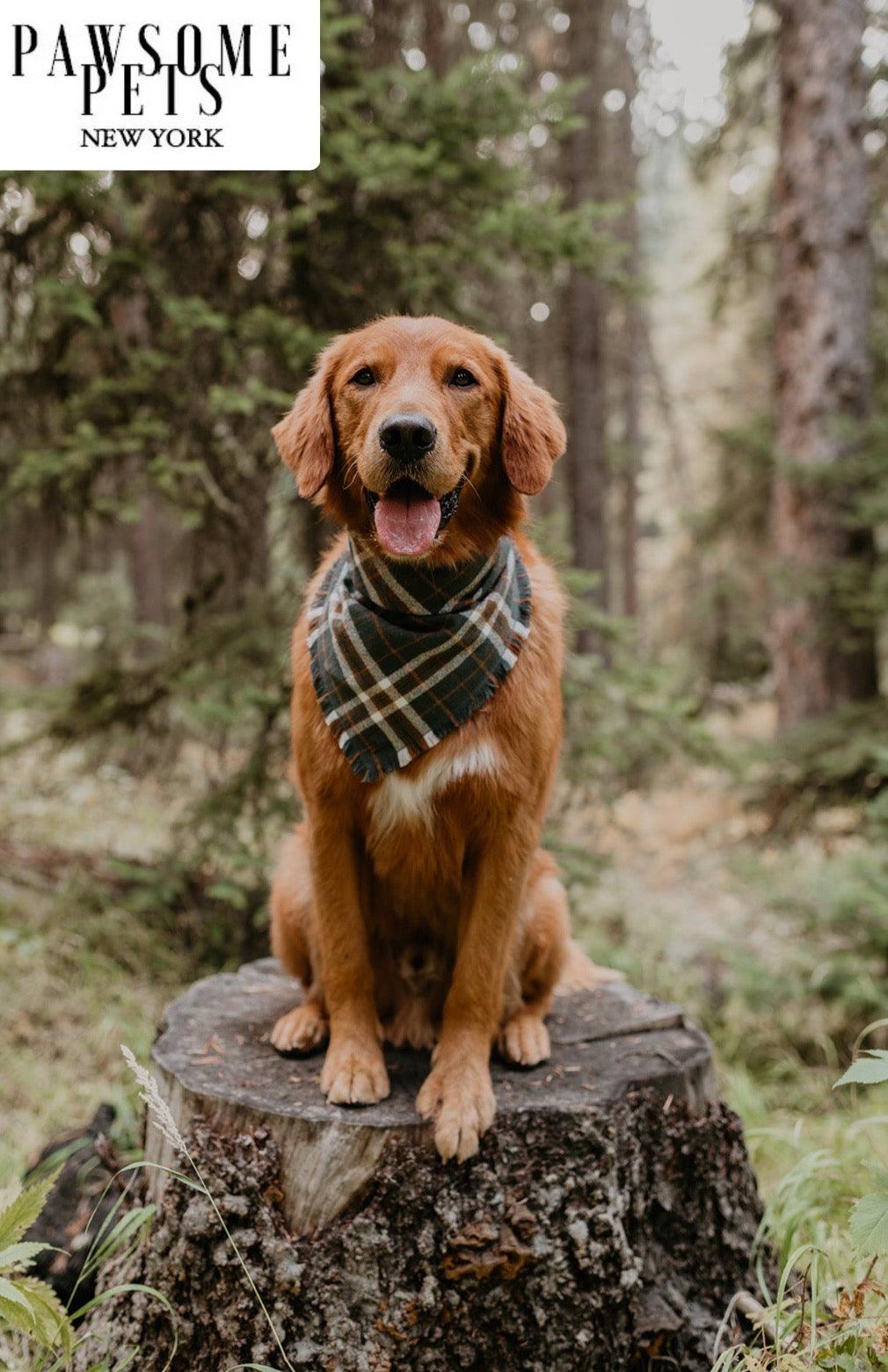 BANDANA - MONROE - Pawsomepetsnewyork