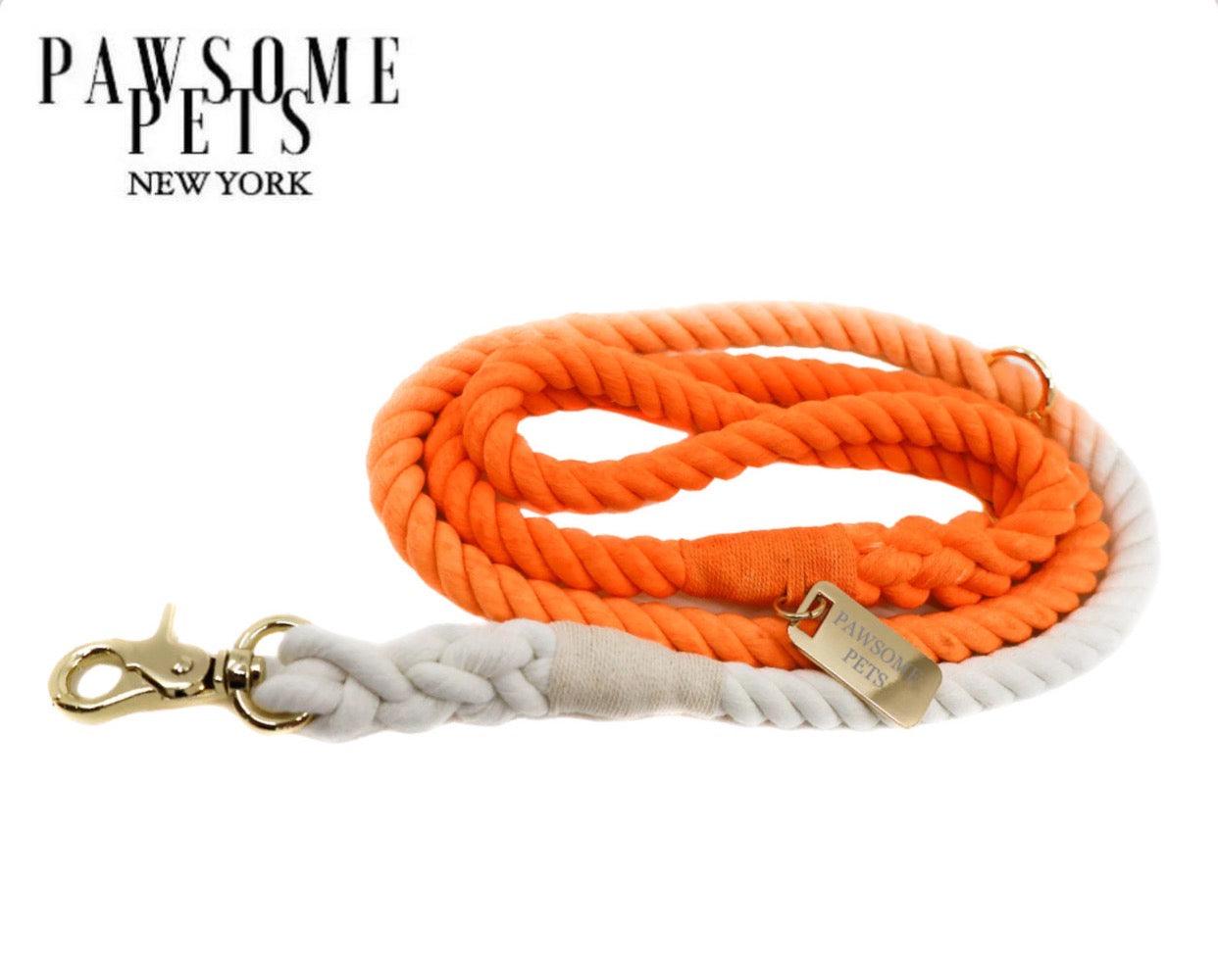 ROPE LEASH - SANTA MONICA SUNSET - Pawsomepetsnewyork