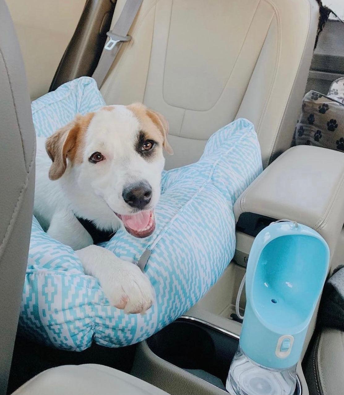 2 IN 1 PORTABLE PET FEEDER - LIGHT GREY - Pawsomepetsnewyork