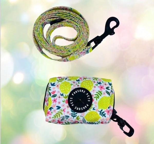 BUNDLE - OH MY LEMON (2 PIECES) - Pawsomepetsnewyork