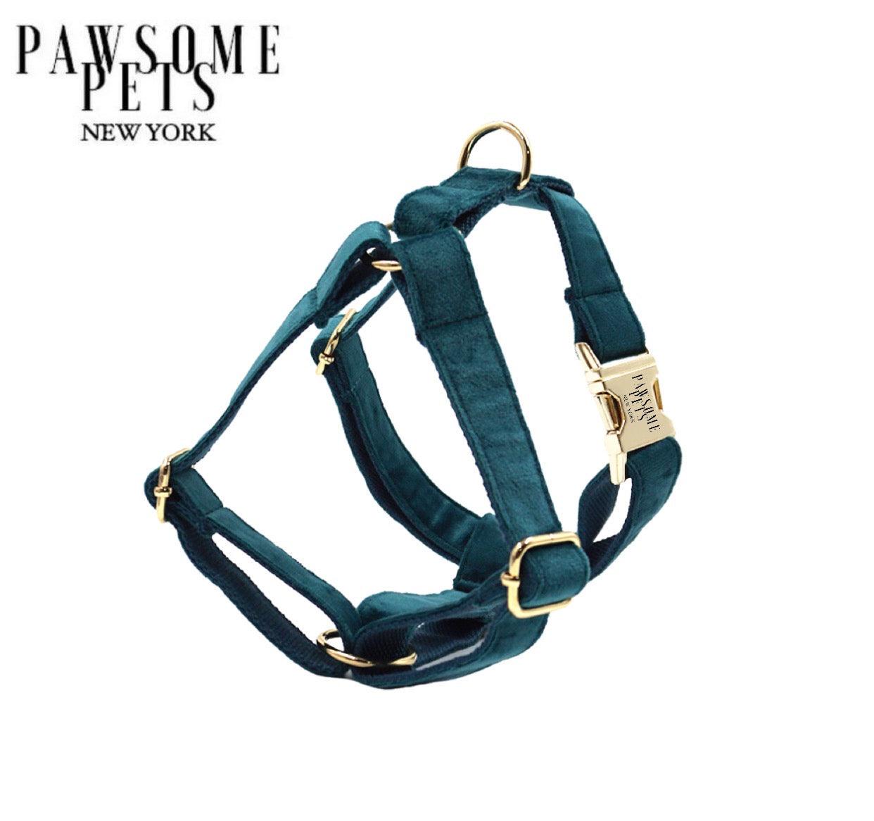 STEP IN HARNESS - EMERALD - Pawsomepetsnewyork