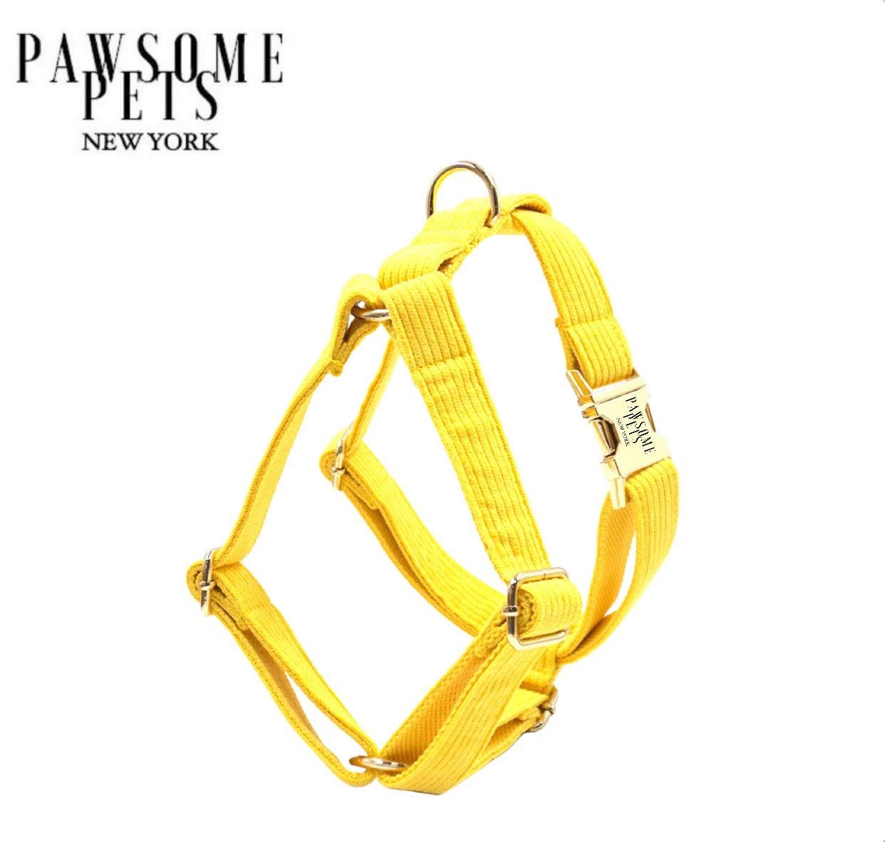 STEP IN HARNESS - BRIGHT YELLOW - Pawsomepetsnewyork